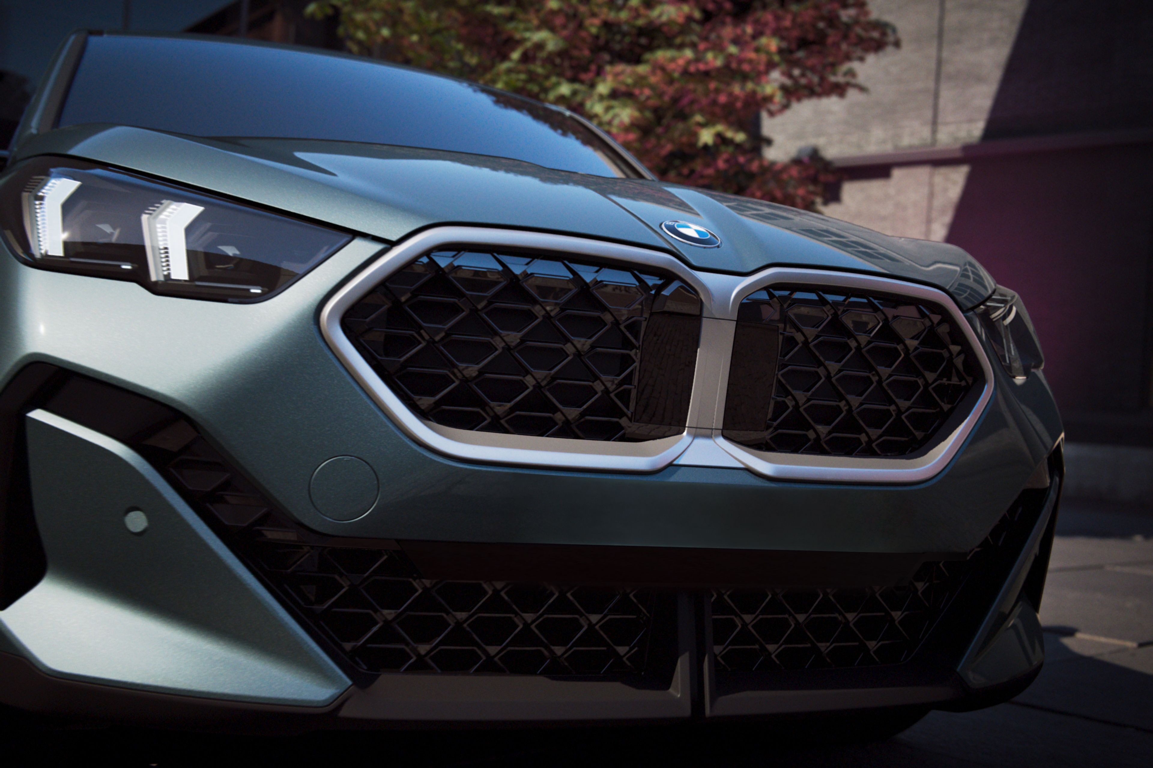 Detail shot of the X2’s prominent kidney grille